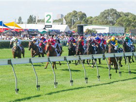 Morphettville Racecourse - Accommodation 4U 0