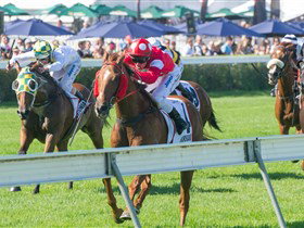 Morphettville Racecourse - Accommodation 4U 2