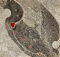 Marshall Arts - Accommodation 4U