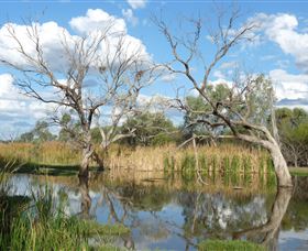 Lagoon Creek - Accommodation 4U 0
