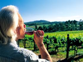 Ashton Hills Vineyard - Accommodation 4U 0