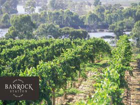 Banrock Station Wine And Wetland Centre - Accommodation 4U 0