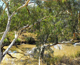 Quilberry Creek Fishing - Accommodation 4U 0