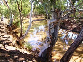 Quilberry Creek Fishing - Accommodation 4U 1