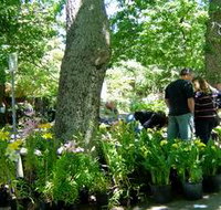 The Stirling Market - Accommodation 4U