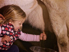 Hahndorf Farm Barn - Accommodation 4U 1