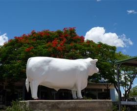 Aramac - The White Bull - Accommodation 4U 1
