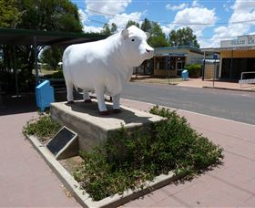 Aramac - The White Bull - Accommodation 4U 2