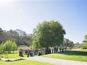 Howard Vineyard - Accommodation 4U 1