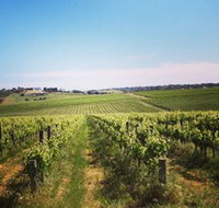 Adelaide Winemakers - Accommodation 4U