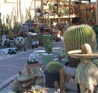 Cactus Creations - Accommodation 4U