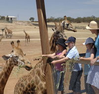 Monarto Open Range Zoo - Accommodation 4U