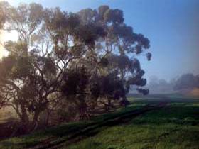 Island Pure Sheep Dairy And Cheese Factory - Accommodation 4U 2