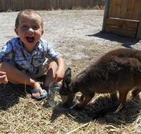 Animal Farm Goolwa - Accommodation 4U