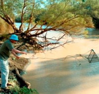 Charleville - Ward River Fishing Spot - Accommodation 4U