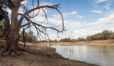 Toorale National Park - Accommodation 4U 0