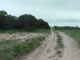 Messent Conservation Park - Accommodation 4U 1