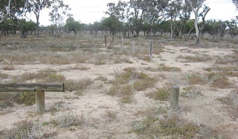 Culgoa Connellys Track - Accommodation 4U 0
