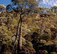 Ka Ka Mundi Carnarvon National Park