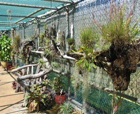 George Brown Darwin Botanic Gardens - Accommodation 4U 5