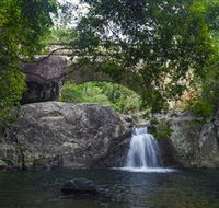 Paluma and Crystal Creek Rainforest - Accommodation 4U