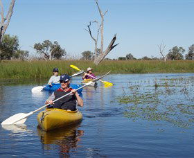 Neilrex NSW Accommodation 4U