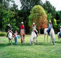 Limestone Coast Horseriding - Accommodation 4U