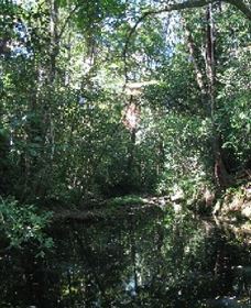 Wabunga Wayemba (Charmillan Creek Walking Track) - Accommodation 4U 0