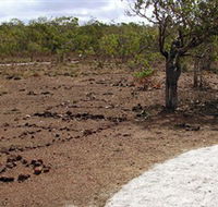Wurrwurrwuy Garanhan Macassan Beach Interpretive Walk - Accommodation 4U