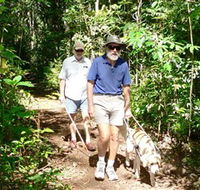 Wongabel State Forest - Accommodation 4U