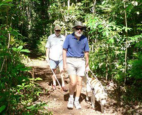 Wongabel State Forest - Accommodation 4U 0