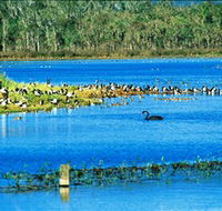 Hasties Swamp National Park - Accommodation 4U