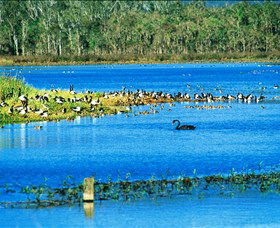 Hasties Swamp National Park - Accommodation 4U 0