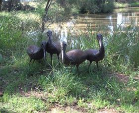 East Tolans Farm Tour - Accommodation 4U 0