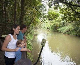 Platypus Viewing At Broken River - Accommodation 4U 1