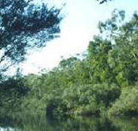 Crawford River Regional Park - Accommodation 4U