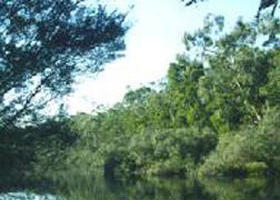 Crawford River Regional Park - Accommodation 4U 0