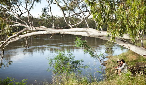 Murray Valley National Park - Accommodation 4U 0