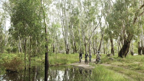 Murray Valley National Park - Accommodation 4U 3