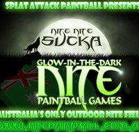 Nite Paintball Games Moama - Accommodation 4U
