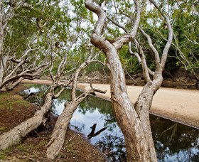 Oyala Thumotang National Park (CYPAL) - Accommodation 4U 0