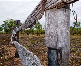 Oyala Thumotang National Park (CYPAL) - Accommodation 4U 1