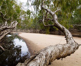 Oyala Thumotang National Park (CYPAL) - Accommodation 4U 3