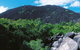 Black Mountain (Kalkajaka) National Park - thumb 0