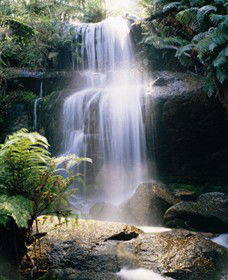 Mount Buangor State Park - Accommodation 4U 0