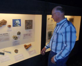 Big Fish Fossil Hut At Peak Hill - Accommodation 4U 1