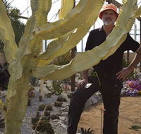 Cactus Country - Accommodation 4U