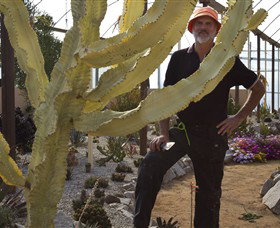 Cactus Country - Accommodation 4U 0