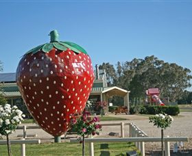 The Big Strawberry - Accommodation 4U 2