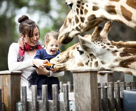 Taronga Western Plains Zoo, Dubbo - Accommodation 4U 0